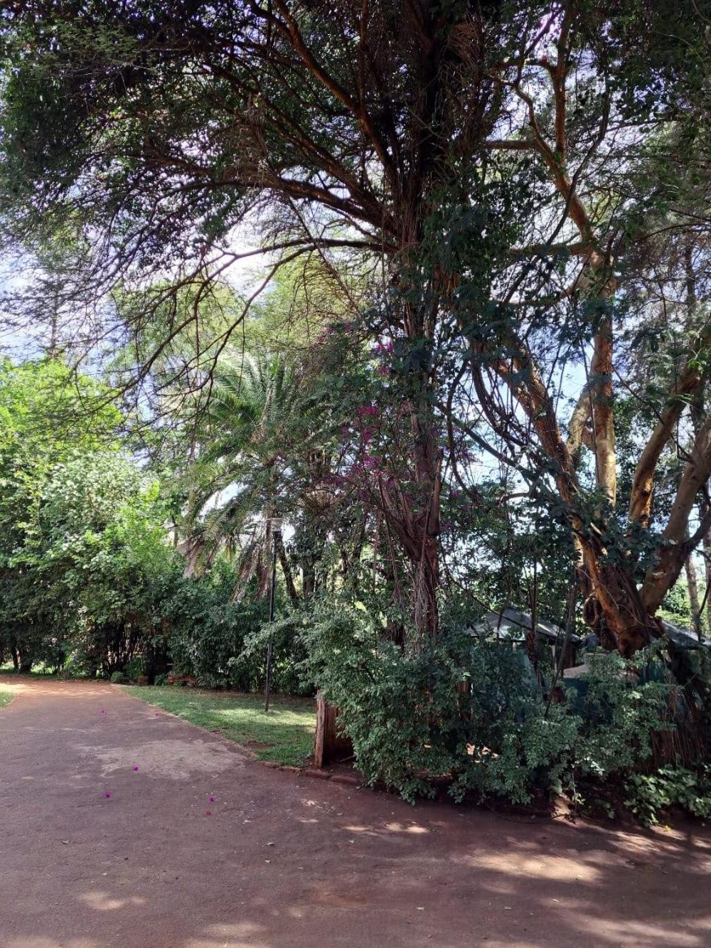 Rosslyn Studios Nairobi Bagian luar foto